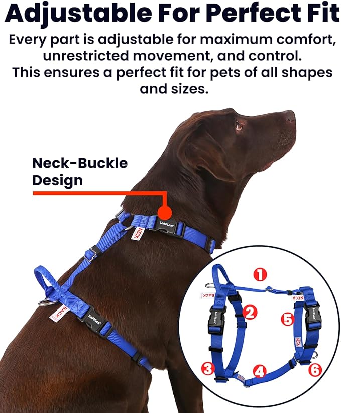 Non Restrictive Dog Harness, Easy Walk Freedom No Pull Harness, Keep Balance, Lightweight, Neck Buckle, 2 Clips for Back and Front Clip, Sewn-in Instructions Labels for Easy Use, Medium, Blue