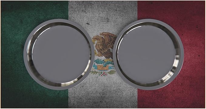 GTW Personalized Elevated Dog Bowl Stand for Large, Medium, Small, X-Small Dogs - Stainless Steel Food and Water Bowls - Raised Dog Dish with Internal Storage (Large, Flag Design)