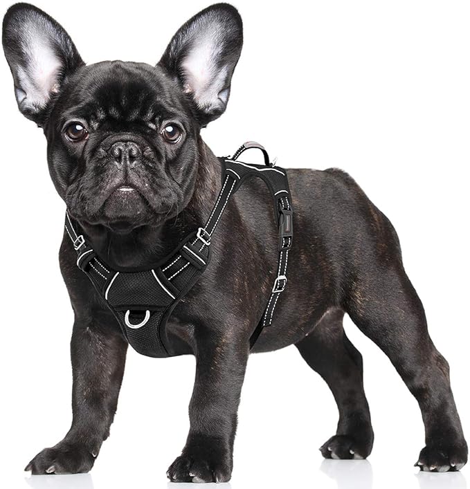 BARKBAY No Pull Dog Harness Large Reflective Dog Harness with Front Clip and Easy Control Handle for Walking Training Running with ID tag Pocket(Black,S)