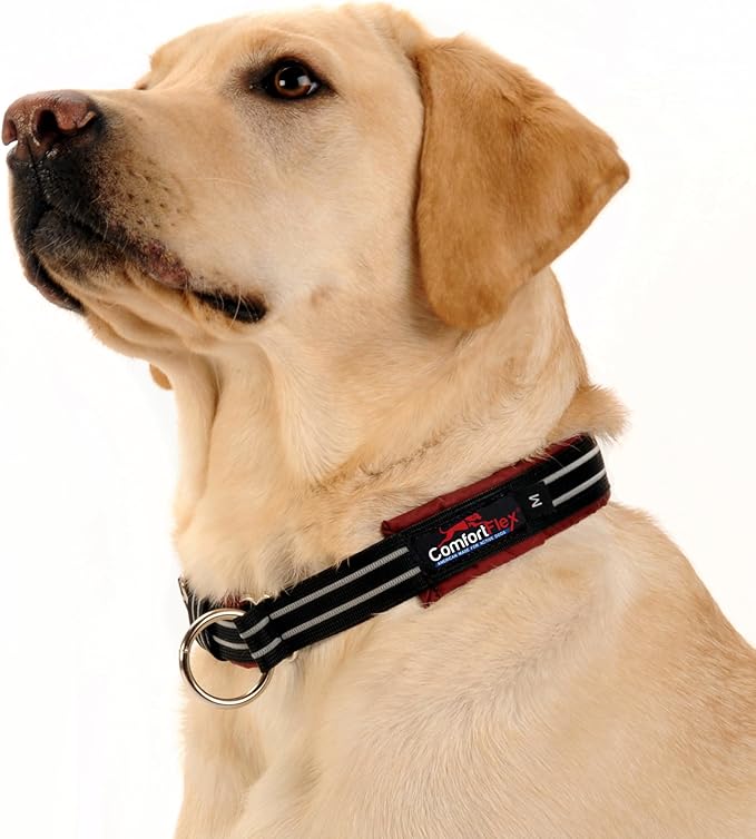 ComfortFlex Premium Padded Martingale Dog Collar – Reflective Waterproof Slip-On Limited Slip Collar for Gentle Control & Escape Prevention - XLarge, Bordeaux