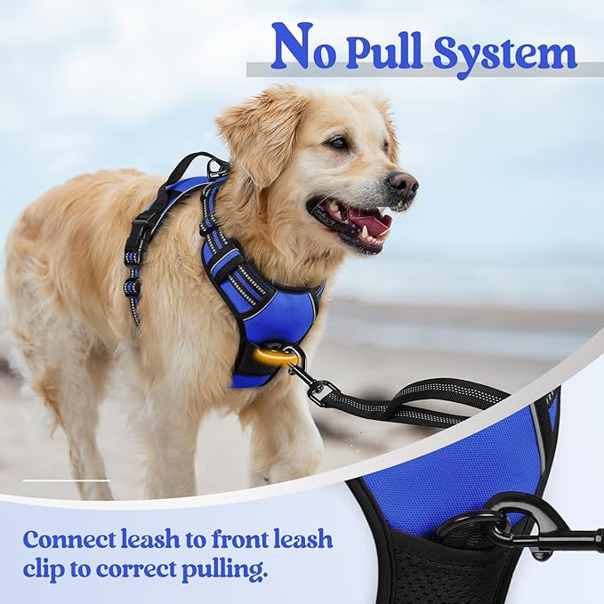 rabbitgoo Dog Harness No Pull with 2 Leash Clips, Adjustable Soft Padded, Reflective Oxford No Choke Pet Vest with Easy Control Handle for Large Dogs, Dazzling Blue, L