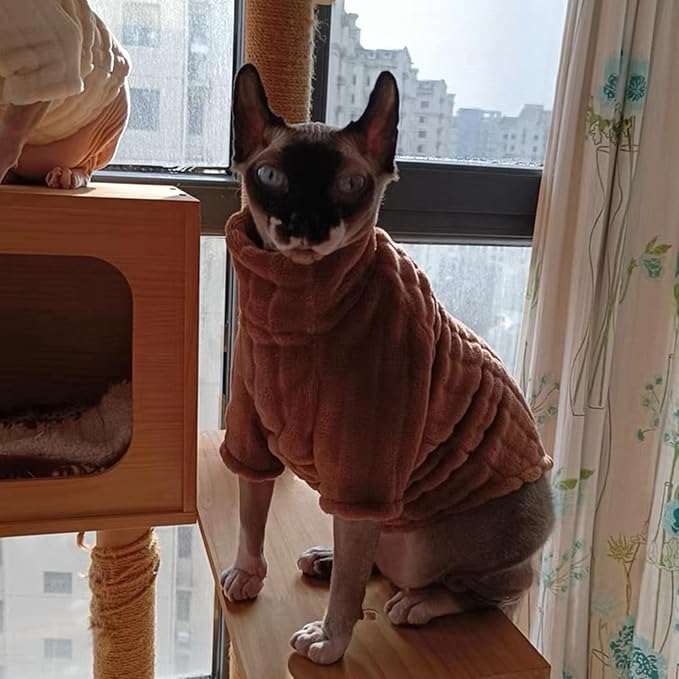 Turtleneck Sweater for Sphynx Cat Soft Coral Fleece Cat Clothes Thick Winter Warm Outfit Coat for Hairless Cats and Small Dogs Apparel with Sleeves (Brown, M (5-7 lbs))