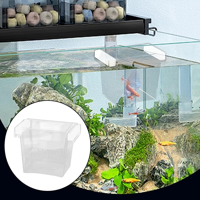 Fish Hatching Container - Floating Fish Breeder Box for Aquarium, Isolation & Hatchery Tank | Fish Nursery Box, Divider Incubator Container for Betta Fry Guppy Angelfish Acclimation & Feeding