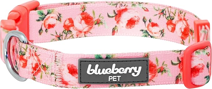 Blueberry Pet Spring Scent Floral Pink Dog Collar, Adjustable X-Small 7.5"-10", Dog Collars for Small Dogs, Puppy Collar, Small Dog Collar, Pink Dog Collar, Girl Dog Collars, Accessories