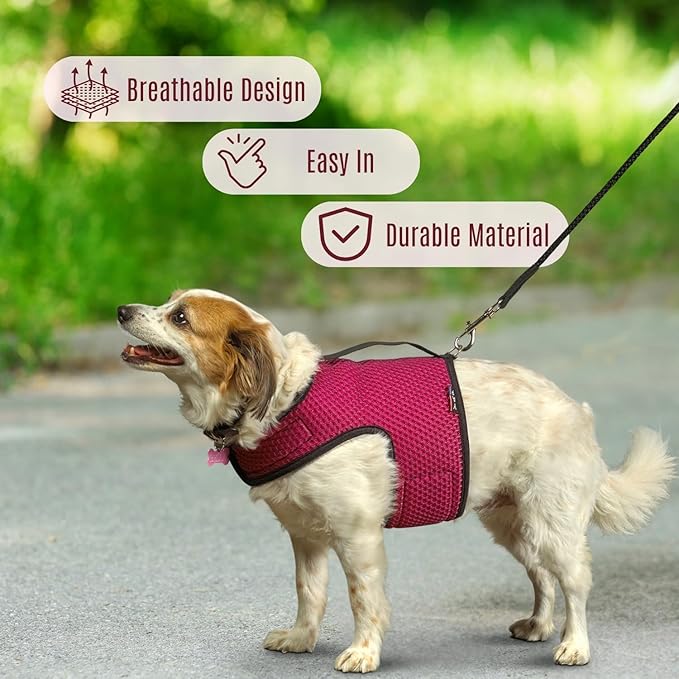 YAP Dog Performance Wrap®; Choke-Free X Small Dog Harness, Anti-Static Dog Harness with Handle for Emergency, Quick-Drying Pet Harness for Small Dogs Compatible with Universal Seat Belt Blue