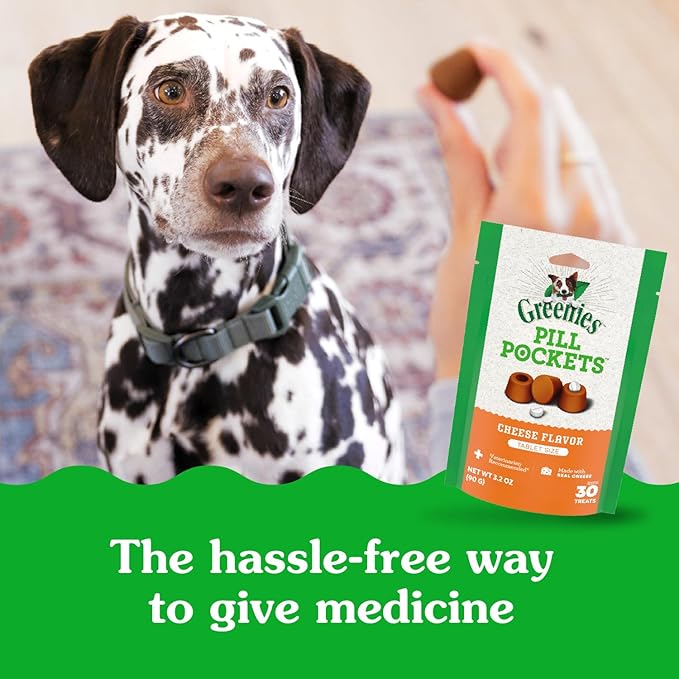 Greenies Pill Pockets for Dogs, Large Size Soft Dog Treats, Cheese Flavor, 15.8 oz. Pouch