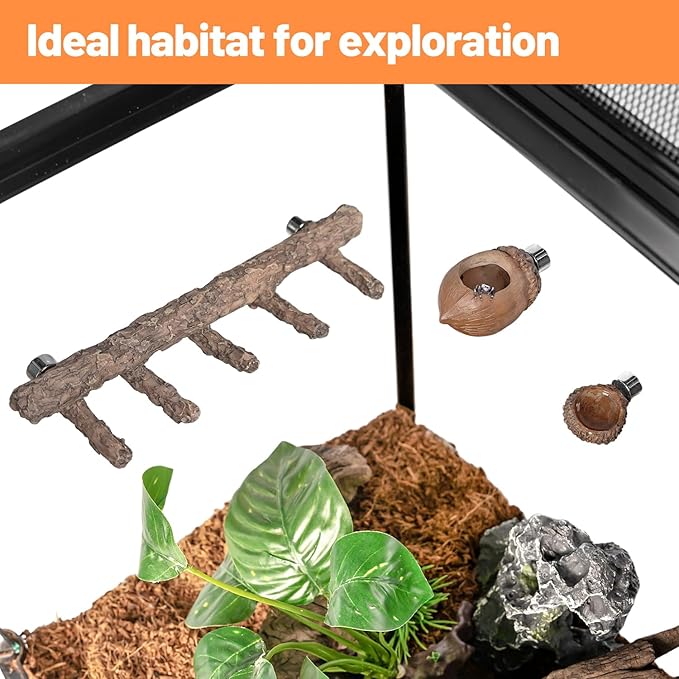 Oiibo Jumping Spider Hideout and Feeding Dish, 3 in 1 Nut Shaped Hide Cave Sets for Spider Playing Feeding Climbing, Enclosure Accessories
