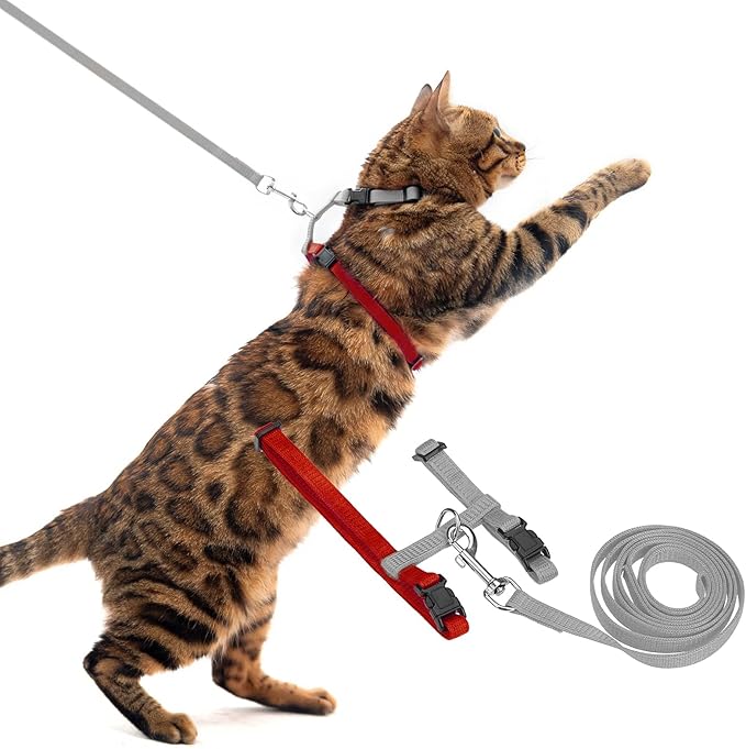PUPTECK Adjustable Cat Harness and Leash Set Escape Proof Kitten Strap Collar for Walking Travel, Grey/Red Mixed