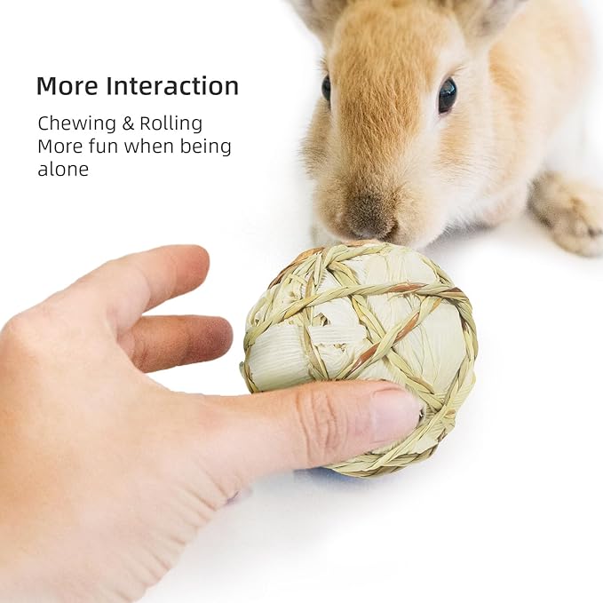 andwe Small Animals Play Balls Rolling Chew Toys & Gnawing Treats for Rabbits Guinea Pigs Chinchilla Bunny Degus - Pet Cage Entertainment Accessories (Pack of 4)