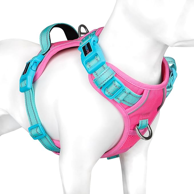 PHOEPET No Pull Dog Harness, Unique Colors Reflective Adjustable Dog Vest, with Soft Training Handle Metal Clips for Small Medium Large Dogs (Pink Base & Green Straps,L)