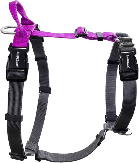 Non-Restrictive Dog Harness, Easy Walk Freedom No Pull Harness, Keep Balance, Neck-Buckle, Six Points Adjustment, 2 Leash Clips for Back and Front Clip (Purple/Black, X-Small)