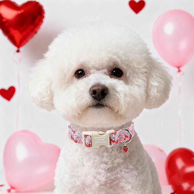 Unique Style Paws Valentine Dog Collar Plastic Buckle with Pendant Red Pink Strawberry Cotton Puppy Collars for Small Medium Large Dogs