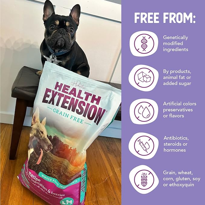 Health Extension Grain Free Salmon & Sweet Potato Dry Dog Food - 30+ Superfoods and Probiotics for All Life Stages (23.5lb)