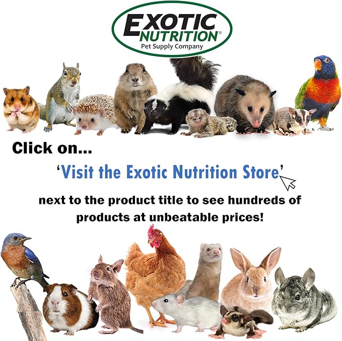 Zanzibar Cage - Durable Spacious Pet Habitat - Hedgehogs, Guinea Pigs, Small Rabbits, Syrian Hamsters, Degus, Tortoises, Lizards and Other Small Pets