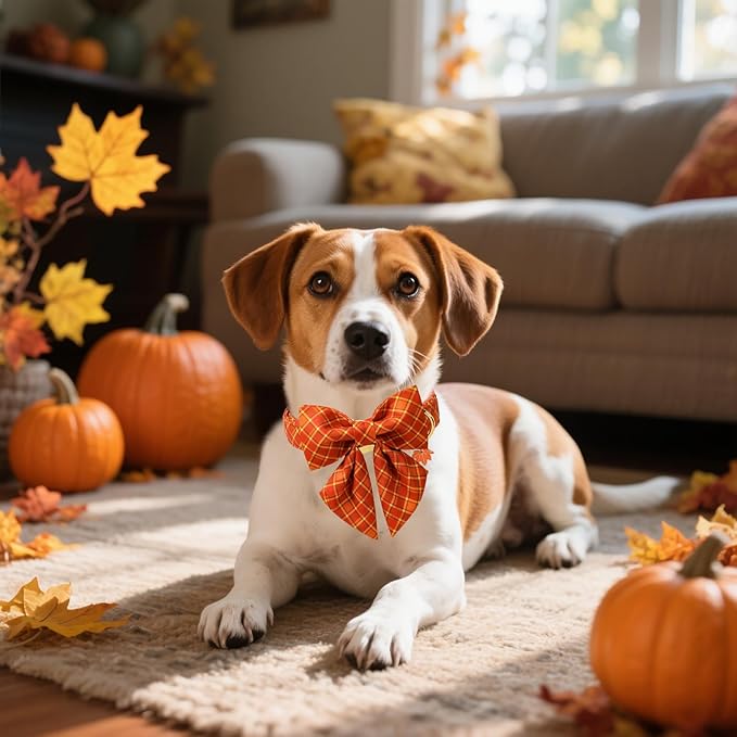 DOGWONG Cotton Fall Dog Collar, Orange Plaid Dog Collar with Bow Halloween Dog Collars Puppy Necklace for Small Medium Large Dogs