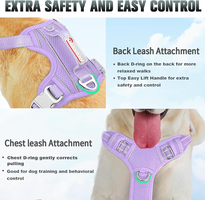 BARKBAY No Pull Dog Harness Large Reflective Dog Harness with Front Clip and Easy Control Handle for Walking Training Running with ID tag Pocket(Violet Purple,XS)