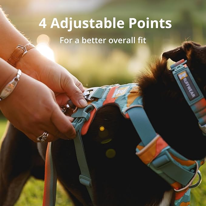Ruffwear, Front Range Dog Harness, Reflective Soft Padded Everyday Harness with Dual Leash Clips, Adjustable and Lightweight Fit for Training or Walking for All Dogs, Spring Mountains, X-Small