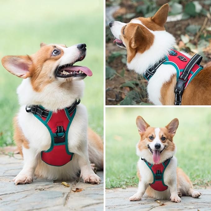 PHOEPET 2019 Upgraded No Pull Dog Harness, Reflective Adjustable Vest, with a Training Handle + 2 Metal Leash Hooks+ 3 Snap Buckles +4 Slide Buckles(S, Red)