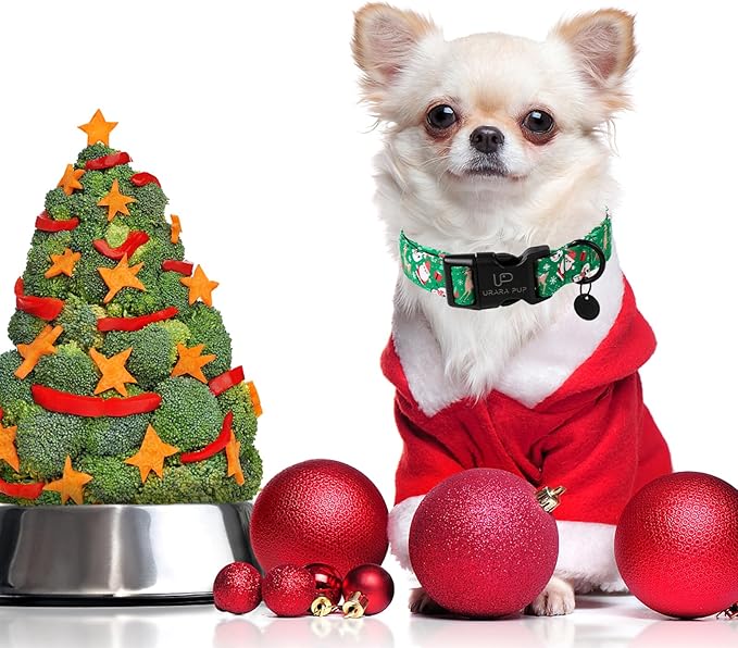 Christmas Santa Claus Dog Collar, Cute Christmas Elk Collar for Puppy Girl Boy Dog, Adjustable Green Dogs Collars for Small Medium Large Dogs