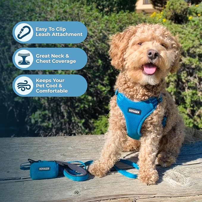 Best Pet Supplies Voyager Mesh Dog Breathable Harness Reflective Stitching, All Weather Adjustable for Walking Training, or Running - Heavy Duty & Durable, Harness (Turquoise), XL