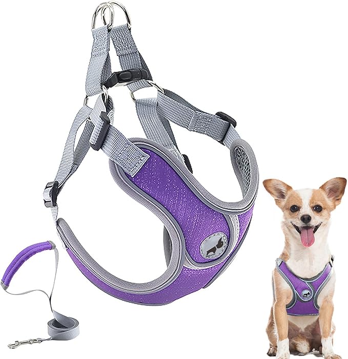 Dog Harness with Leash Set, Puppy Harnesses with Breathable Padded for Small Dogs Walking Escape Proof (XS, Purple)