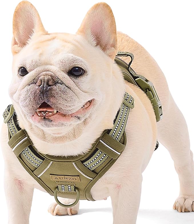 No Pull Dog Harness for Medium Dogs, Easy on/Off with Neck Buckle, Adjustable Reflective Harness Vest with Handle, for Working Training Hiking Walking, Escape Proof Pet Vest