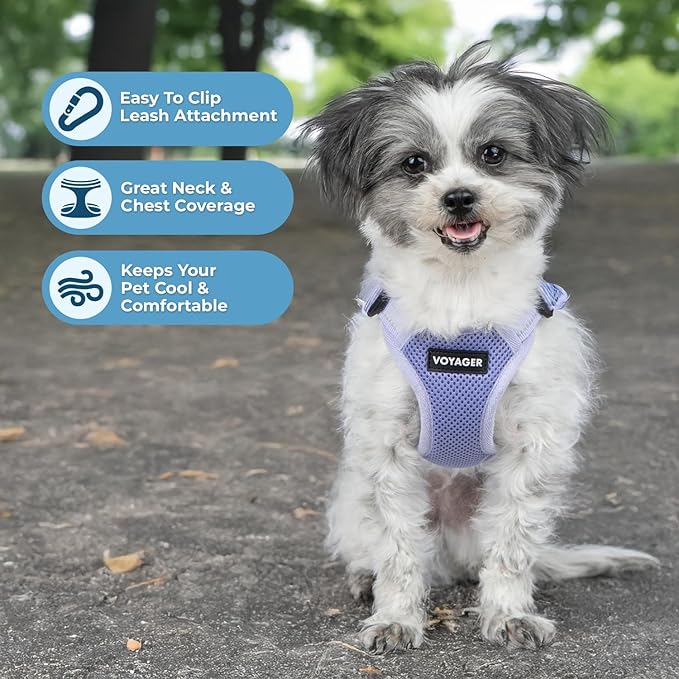 Best Pet Supplies Voyager Mesh Dog Breathable Harness Reflective Stitching, All Weather Adjustable for Walking Training, or Running - Heavy Duty & Durable, Harness (Lavender), M