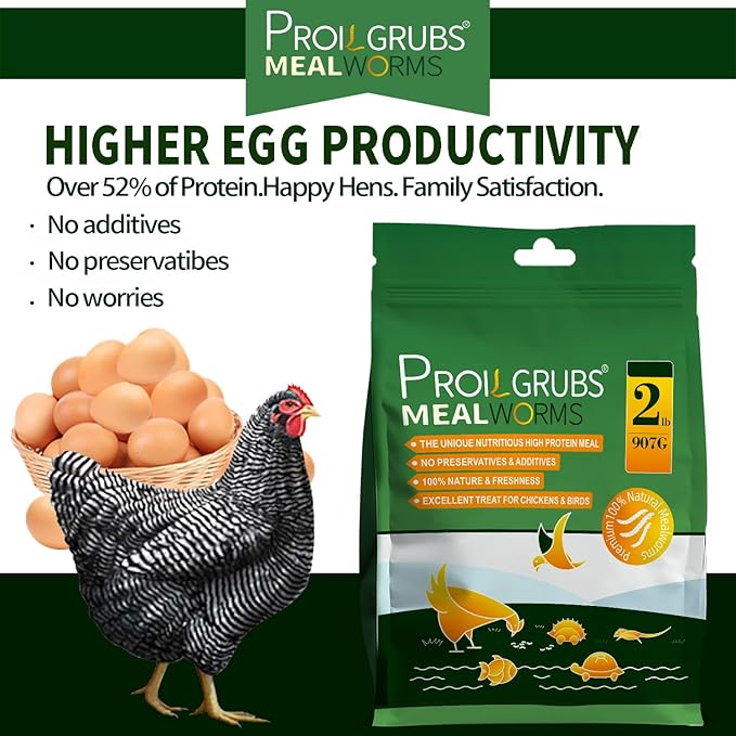 PROILGRUBS 2 LBS Dried Mealworms Super High Protein Nutritious Feed for Birds &Chickens - Organic Meal Worms for Laying Hens,Duck,Fish,Turtle,Reptil…