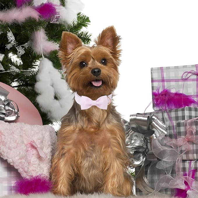 Unique style paws Spring Pink Dog Collar with Bow Pet Gift Adjustable Soft and Comfy Bowtie Collars for Small Medium Large Dogs