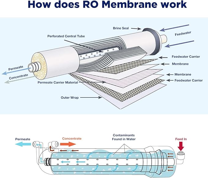 Membrane Solutions 100 GPD RO Membrane with Housing Set, Reverse Osmosis Membrane and 1812/2012 Housing for Maple Syrup DIY and Aquarium Water Systems (4 Pack)