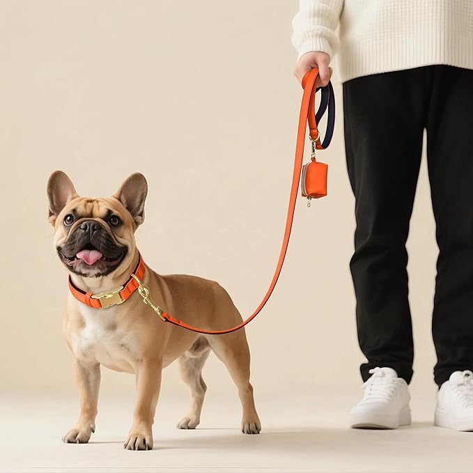 Didog 5FT Colorful Nylon Dog Leash with Soft Full-Length Padding, Lightweight and Durable Pet Leash for Medium and Large Dogs, Orange, M