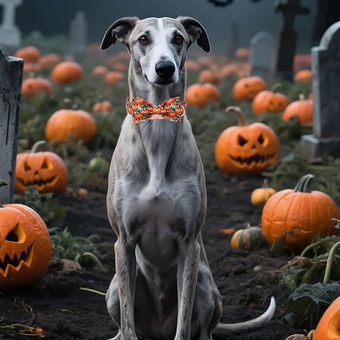 Unique style paws Cotton Dog Collar with Bow Autumn Puppy Collar with Halloween Oil Painting Pumpkin for Small Medium Large Boys Girls Dogs