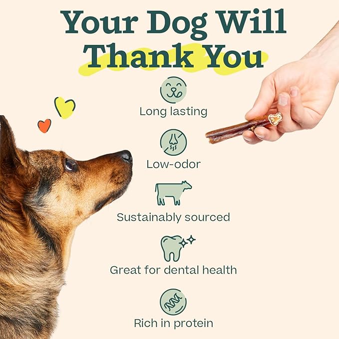 WOOF Bully Sticks Dog Treats - Chew Sticks for Dogs - Long-Lasting Dog Chew Treats - Made with Free-Range, Grass-Fed Beef - 6" Sticks - 25pk