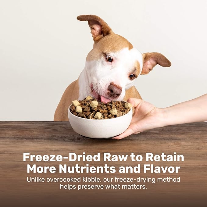 BADLANDS RANCH Superfood Nuggets – Freeze-Dried Raw Dog Treat & Food Topper, Nutrient-Dense Duck & Kale Formula, High Protein, No Artificial Additives, 8oz Bags (4-Pack Bundle)