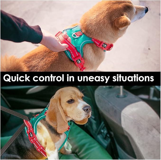 PHOEPET No Pull Dog Harness, Unique Colors Reflective Adjustable Dog Vest, with Soft Training Handle Metal Clips for Small Medium Large Dogs (Dark Green Base & Red Straps,M)