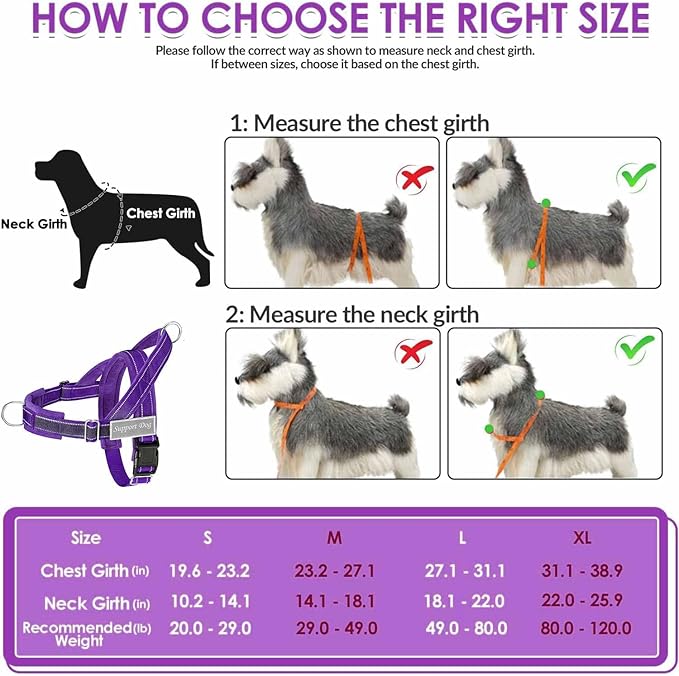 Lukovee No Pull Dog Harness & Leash Set - Heavy Duty Dog Vest Harness with Soft Padded for Medium Large Dogs, Adjustable Reflective Tactical Pet Harness for Easy Walk and Training (S, PU)
