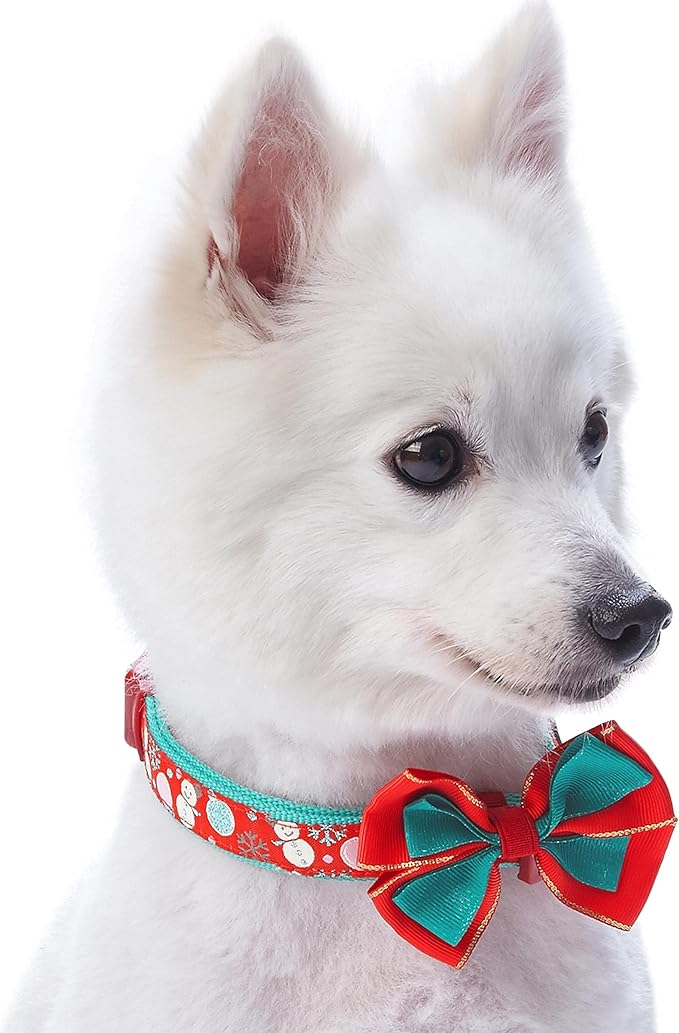 Blueberry Pet “Moments of Excitement” Snowman Bowtie Dog Collar, Small, Adjustable 12"-16" Neck