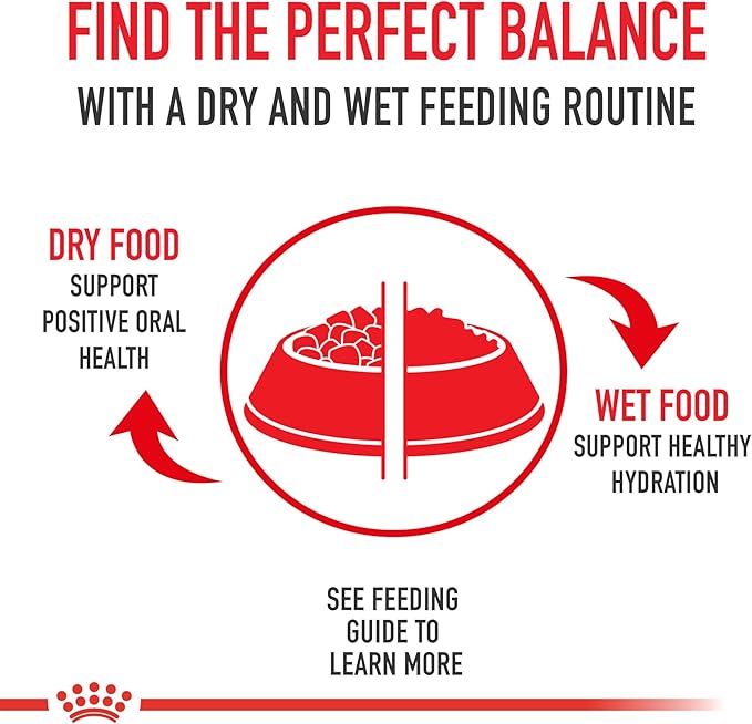 Royal Canin Size Health Nutrition Small Adult Dry Dog Food, 4 lb Bag