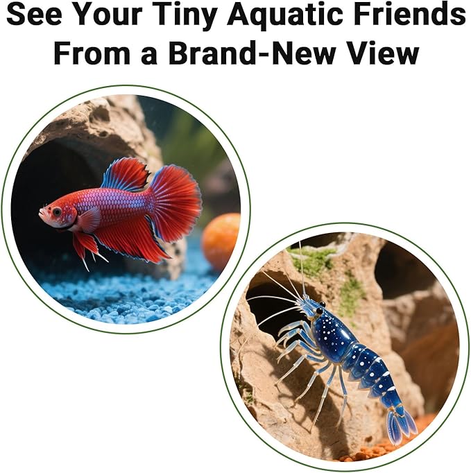 Underground Resin Rock Dual Hole Hideout - View Fish in Natural Corner Tunnel | 5.3×5.3×2.8" | Ideal for Shrimp, Betta, Plecos