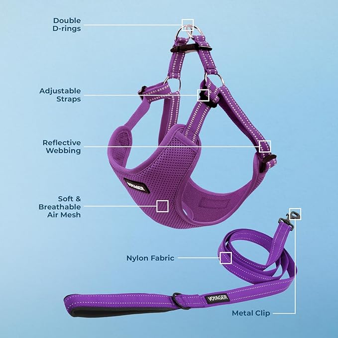 Best Pet Supplies Voyager Mesh Dog Breathable Harness Reflective Stitching, All Weather Adjustable for Walking Training, or Running - Heavy Duty & Durable, Harness Leash Set (Purple), L