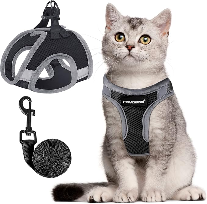 FAYOGOO Cat Harness, Cat Leash and Harness Set for Walking Escape Proof, Harness for Small Cats/Small Dogs, Large Kitten/Puppy Harness and Leash, Harness for Cats S-XXL(Black, XX-Large)