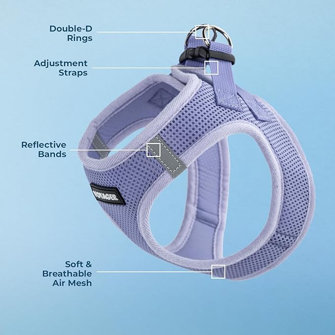 Best Pet Supplies Voyager Step-in Air Harness - All Weather Mesh, Reflective, No Pull Harness for Dogs, Cats - Secure with Hook & Loop Fastener, Buckle, Double D-Rings - Lavender, M