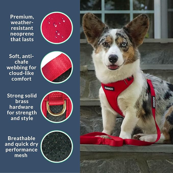 DJANGO Adventure Dog Harness - Stylish and Durable Small Dog Harness for Outdoor Adventures and Everyday Wear - Red Neoprene Adjustable Harness for Dogs with Reflective Piping, Solid Brass D-Ring