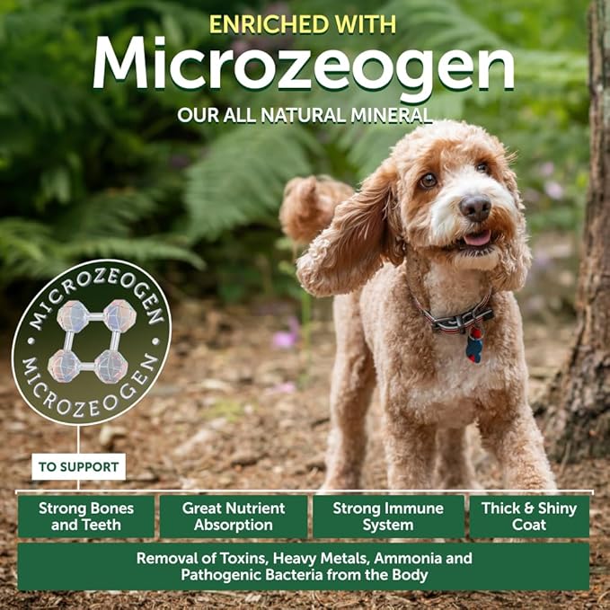 Nature's Protection Dry Dog Food for Small, Medium & Large Breed - High Protein, Grain Free Tear Stain Diet - Dog Kibble for Puppy & Adult Dogs with Red Fur (Superior Care - Lamb, 8.8 lb)