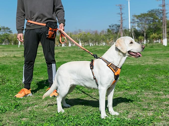 TRUE LOVE Adjustable No-Pull Dog Harness Reflective Pup Vest Harnesses Comfortable Control Brilliant Colors TLH5651(Orange,M)