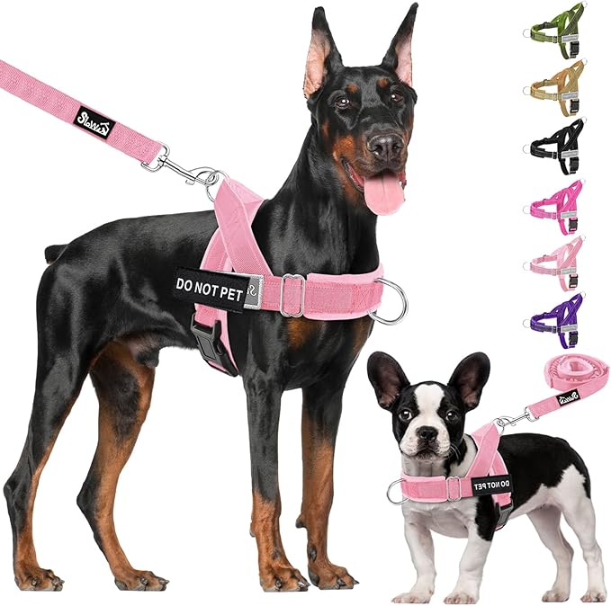 Lukovee No Pull Dog Harness & Leash Set - Heavy Duty Dog Vest Harness with Soft Padded for Medium Large Dogs, Adjustable Reflective Tactical Pet Harness for Easy Walk and Training (M, PI)