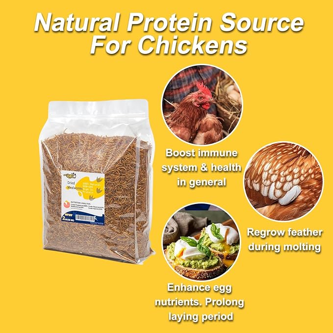 RANZ 2LBS Non-GMO Dried Mealworms for Chickens, High Protein Meal Worms, Premium Chicken Feed, Whole Large Mealworms for Blue Birds, Ducks, Fish