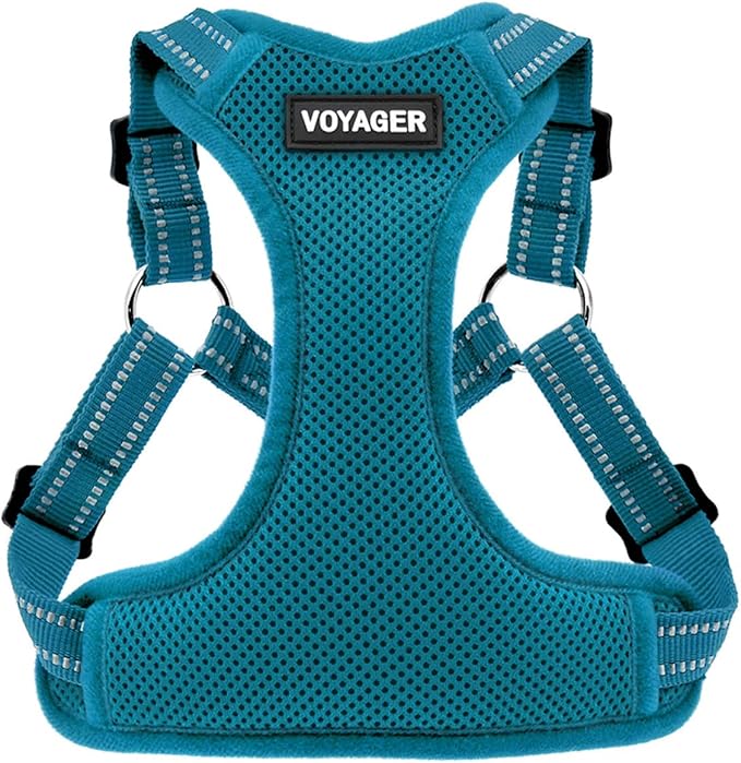 Best Pet Supplies Voyager Mesh Dog Breathable Harness Reflective Stitching, All Weather Adjustable for Walking Training, or Running - Heavy Duty & Durable, Harness (Turquoise), XL