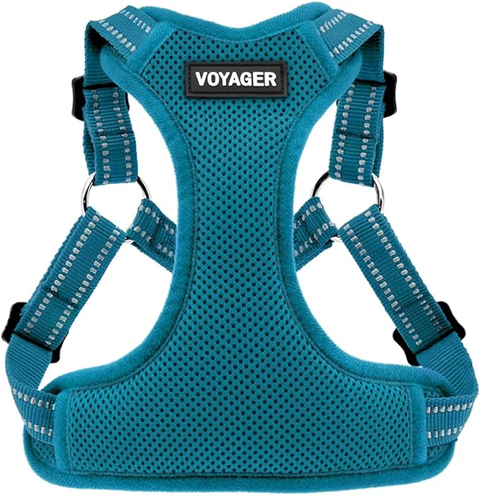 Best Pet Supplies Voyager Mesh Dog Breathable Harness Reflective Stitching, All Weather Adjustable for Walking Training, or Running - Heavy Duty & Durable, Harness (Turquoise), S