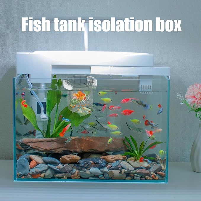 Fish Tank Breeder Box - Floating Aquarium Breeder Box, Fish Isolation Box | Fish Hatchery Box, Nursery Feeding Container Hatchery Incubator Divider for Betta Egg Fry Guppy Angelfish Acclimation